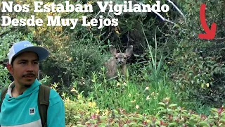 Nos Dimos Cuenta Que  Nos Vigilan De Muy Lejos