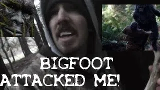 👣 BIGFOOT SCREAMED AT ME!  👣 MAN VS SASQUATCH ATTACK! Footage + Noises + Trailcam! #OHMAWING NTS-#15