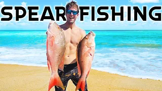 How To SPEAR FISH In Shallow Water For Dinner! Primitive Catch N Cook!