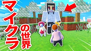 【マイクラの世界に閉じ込められた？】ふにゃふにゃになってサバイバルで生き残れ！【ヒューマンフォールフラット】