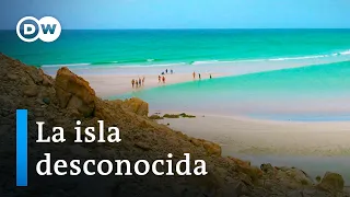 Socotra, la isla del tesoro verde entre Yemen y Somalia | DW Documental