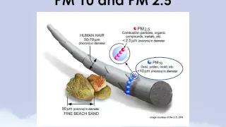 What is Particulate Matter?