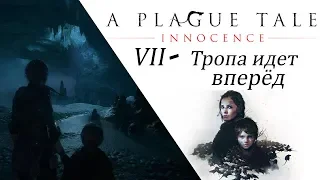 A Plague Tale Innocence VII глава 🐀 Тропа идет вперед