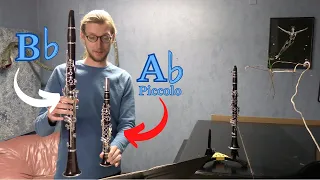 The Adorable Ab Piccolo Clarinet