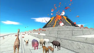 Animal volcano climbing race. Watch out for the lava that falls! | Animal Revolt Battle Simulator