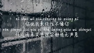 【阵雨-杨胖雨】ZHEN YU-YANG PANG YU /TIKTOK,抖音,틱톡/Pinyin Lyrics, 拼音歌词, 병음가사/No AD, 无广告, 광고없음