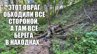 ЭТОТ ОВРАГ ОБХОДИЛИ СТОРОНОЙ, А Я РЕШИЛ ПРОБИТЬ... Поиск золота с металлоискателем / Russian Digger