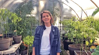 Brandi Carlile gives Farm Aid a tour of her garden