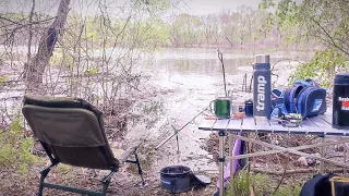 КЛЮЮТЬ ОДИН ЗА ОДНИМ! Почався жор. Ранкова рибалка біля лісу