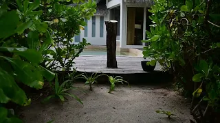 JW Marriott - Maldives Beach Pool Villas