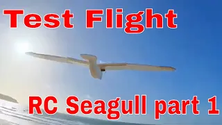Test flights of experimental seagull
