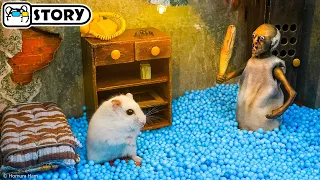 Hamster vs Granny in the Scary House for Halloween 🐹 Homura Ham Pets