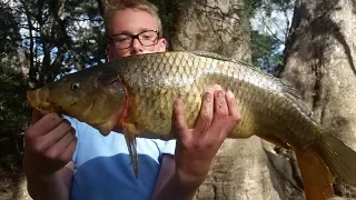 Catching Massive Carp With Worms