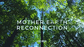 Mother Earth Reconnection 🌍 Tibetan Bowls & Gong Grounding Meditation [3 hours]