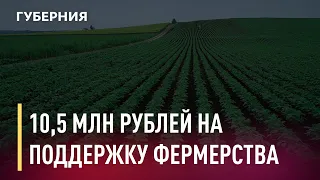 10,5 миллионов на поддержку фермеров выделило краевое правительство. Новости. 23/03/2021. GuberniaTV