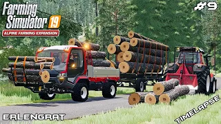 Winching logs in hilly and rocky ALPS | Animals on Erlengrat | Farming Simulator 19 | Episode 9