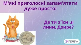 Голосні та приголосні звуки