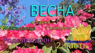 Весна в парке Галицкого 2 часть