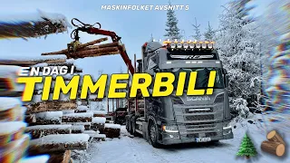 TRAVELING IN A TIMBER TRUCK! 🤩 The machine people part 5 🌲🚛