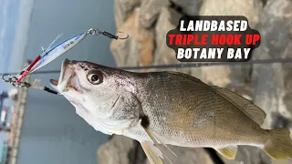 Landbased triple hook up Botany Bay