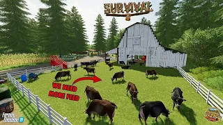 Moooving On Up! | FS22 | Survival | Episode 25