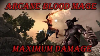 The Arcane Blood Mage(Damager AW) - Dragon Age Origins