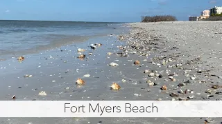 Post Storm Shelling. Fort Myers Beach after Hurricane Idalia had Tons of Seashells!