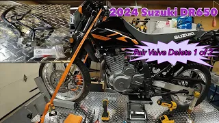 2024 Suzuki DR650 Pair Valve Delete