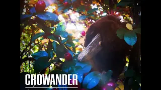 Crowander - Sweet and Joyful (full album)