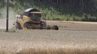 Barley harvesting in southern Finland 2013, New Holland cx 5080- Viljan puintia 2013