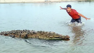 Crocodile attack hunter at fishing time | part 8 - fun made movie of crocodile attack