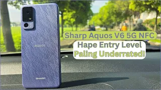 Hape Yang Dulu Mahal Sekarang Kemurahan!, Masih Oke Gak Sih? | Sharp Aquos V6 5G NFC!