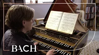 Bach - WTC I Prelude and fugue no. 6 in D minor BWV 851 - Steenbrink | Netherlands Bach Society