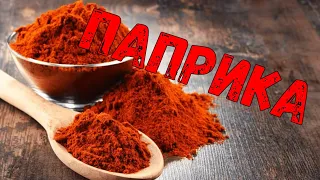 Паприка | как делают паприку | Paprika