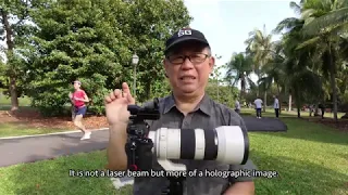 Birding in Singapore Using Laser Dot Sights