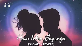 Hum Mar Jayenge [Slowed+Reverb] - Tulsi Kumar, Arijit Singh | Aashiqui 2 |Romantic Slowed Collection