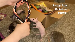 Reviewing October 2023's Ratty Box!