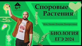 Споровые растения - МХИ, ХВОЩИ, ПЛАУНЫ, ПАПОРОТНИКИ для ЕГЭ 2024 |ЕГЭ БИОЛОГИЯ|Freedom|