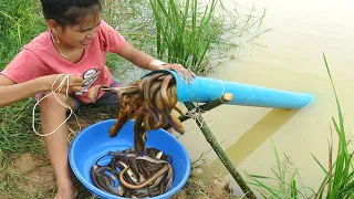 Believe This Fishing? Unique Eels Trapping System Make From PVC | New Technique Of Beautiful Girl