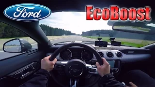 2017 Ford Mustang EcoBoost (0-240km/h) POV- Acceleration, Top speed TEST✔