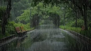 Whispers of the Rain: A Tranquil Journey