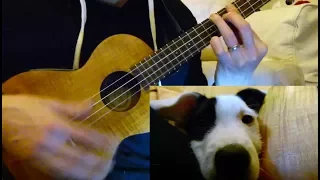 Ukulele tutorial for Stolen Dance - MusicalMylow version