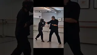Jeet Kune Do Backfist - Bruce Lee's Martial Art