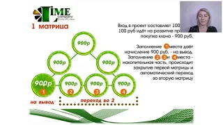 Маркетинг план компании ЛАЙМ 2020 03 25  Вебинар  Спикер Юлия Долгова