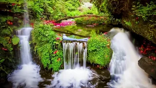 Tropical water: Raindrops & Tune Haven | Lush Aloha Spirits | Seaside Harmonies and Waterfall