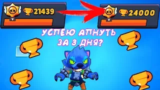 МНЕ НУЖНО АПНУТЬ 24000 КУБКОВ ЗА 3 ДНЯ! СМОГУ? I BRAWL STARS