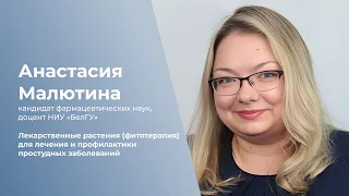 Лекарственные растения для лечения и профилактики простудных заболеваний