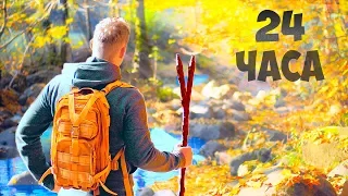 24 HOURS IN THE FOREST-IN SEARCH OF FOOD (SURVIVAL)