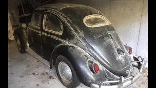 FIRST START IN 35 YEARS - Forgotten 1956 Vw Beetle Rescue - Will it Run?