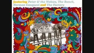 Peter & The Wolves   Something in the Way She Moves 1970